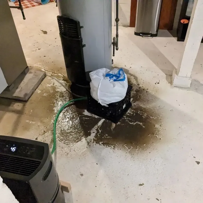 Sewage Backup Cleanup Service in Lajas, PR